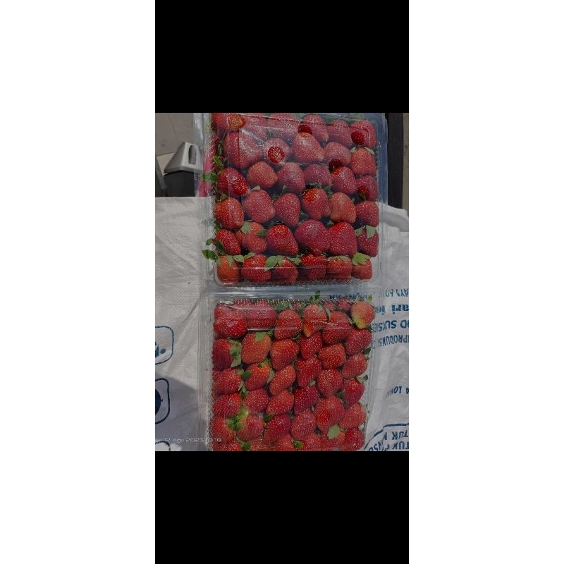 

Strawberry kemasan 1kg