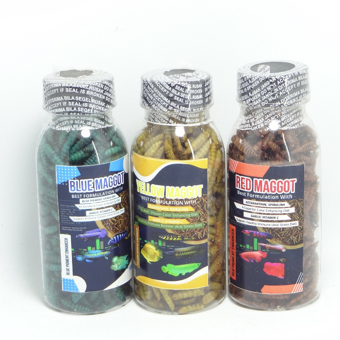 Kemasan botol Maggot BLUE/YELLOW/RED