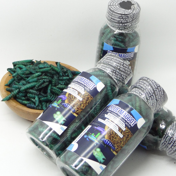 Kemasan botol BLUE Maggot