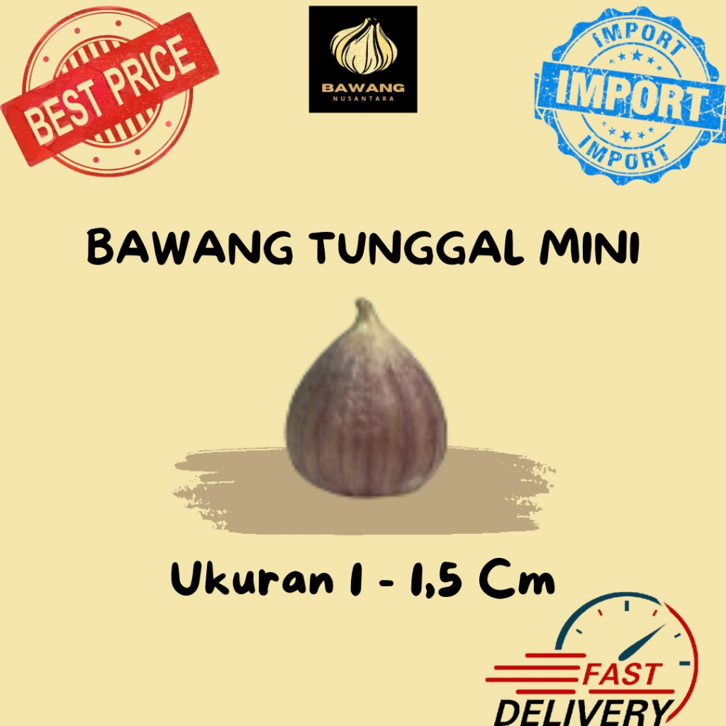 

BAWANG TUNGGAL MINI 1 KG