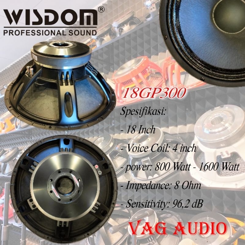 SPEAKER COMPONENT WISDOM 18GP300