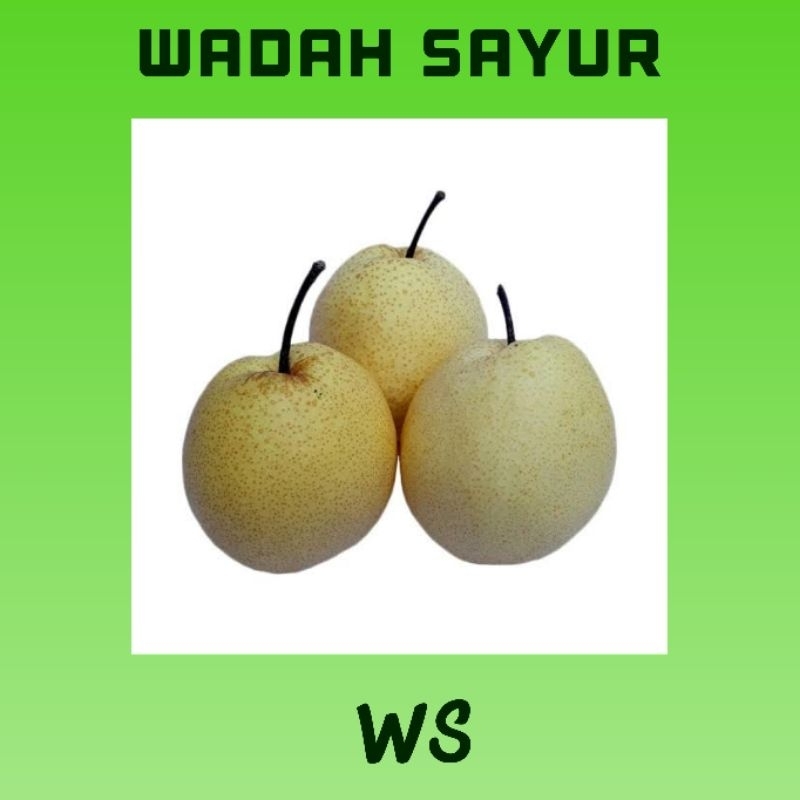 

Sweet Pear Segar ( 500 Gram ) | Wadah Sayur Bogor
