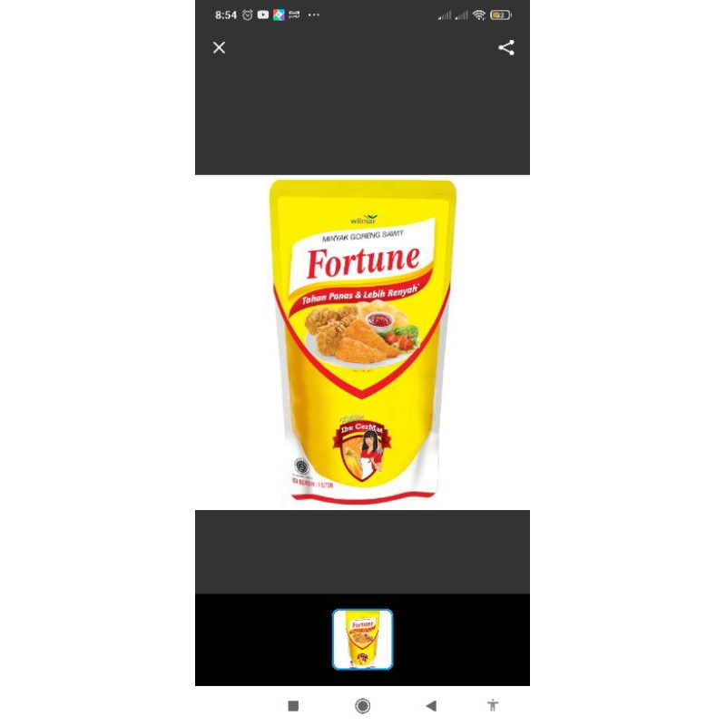 

fortune 1L