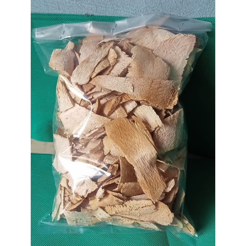 

rebung bambu kuning kering