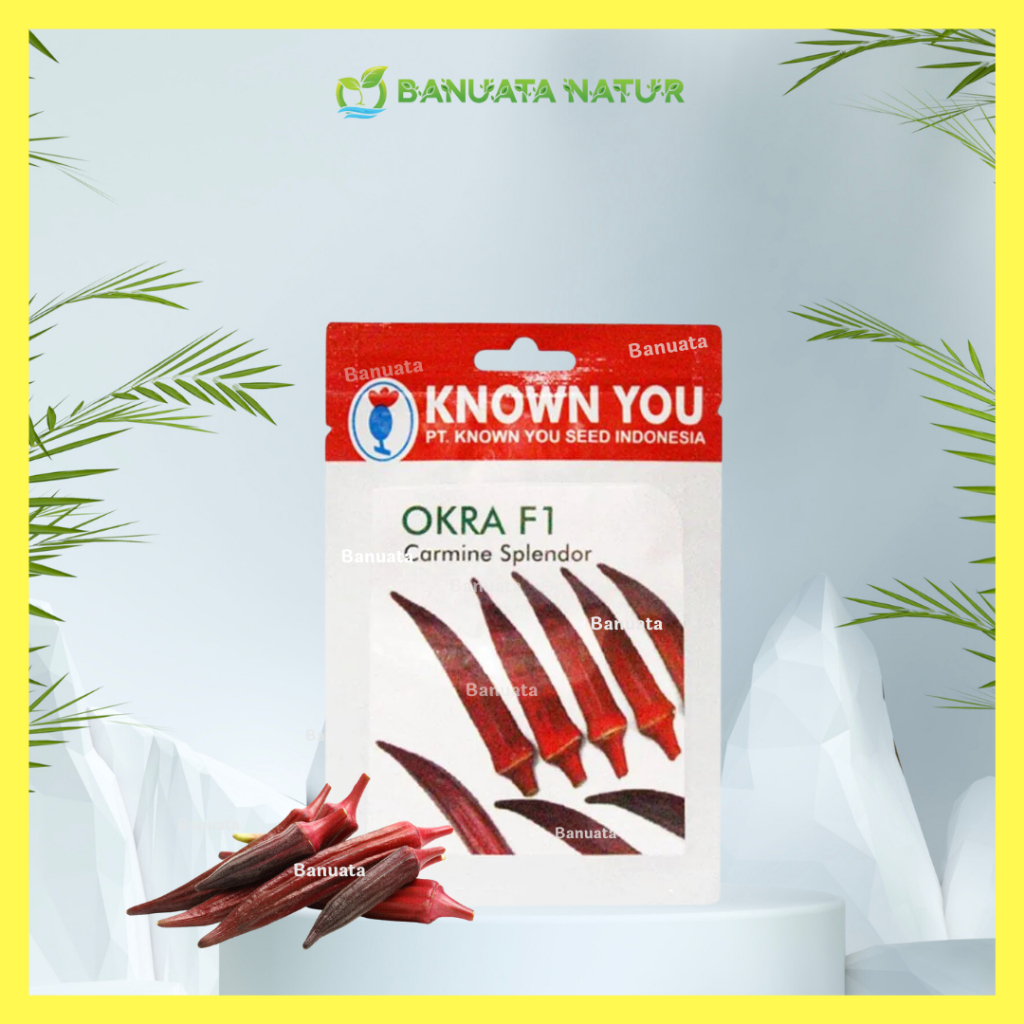 Benih Bibit Okra Merah CARMINE SPLENDOR (25 seed) - Known You Seed Berkualitas - Banuata