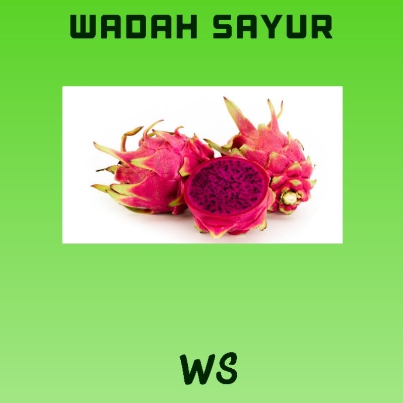 

Buah Naga Segar ( 500 Gram ) | Wadah Sayur Bogor