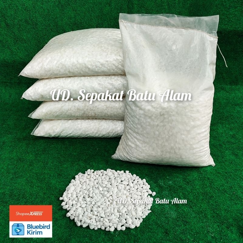 Batu Taman Coral Sikat Putih Italy Salju 10 kg