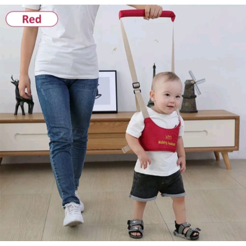 BLUETOYS ALAT BELAJAR JALAN UNTUK BAYI DAN ANAK/MAINAN ANAK & BALITA