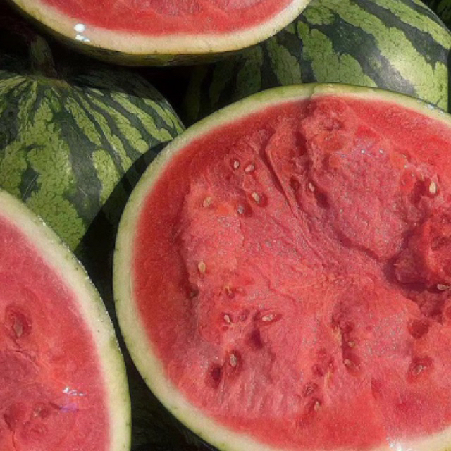 

Semangka Merah Seedless