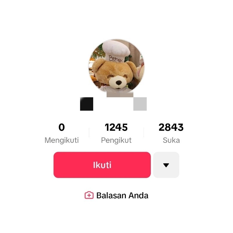 akun tiktok 1000 follower