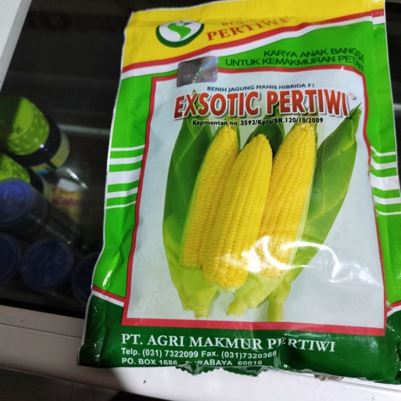 benih jagung manis exotic