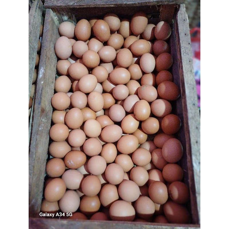 telur ayam 1 peti 15 kg