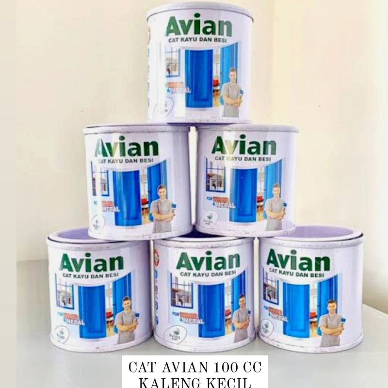 AVIAN CAT BESI DAN KAYU WARNA 100 CC KALENG KECIL