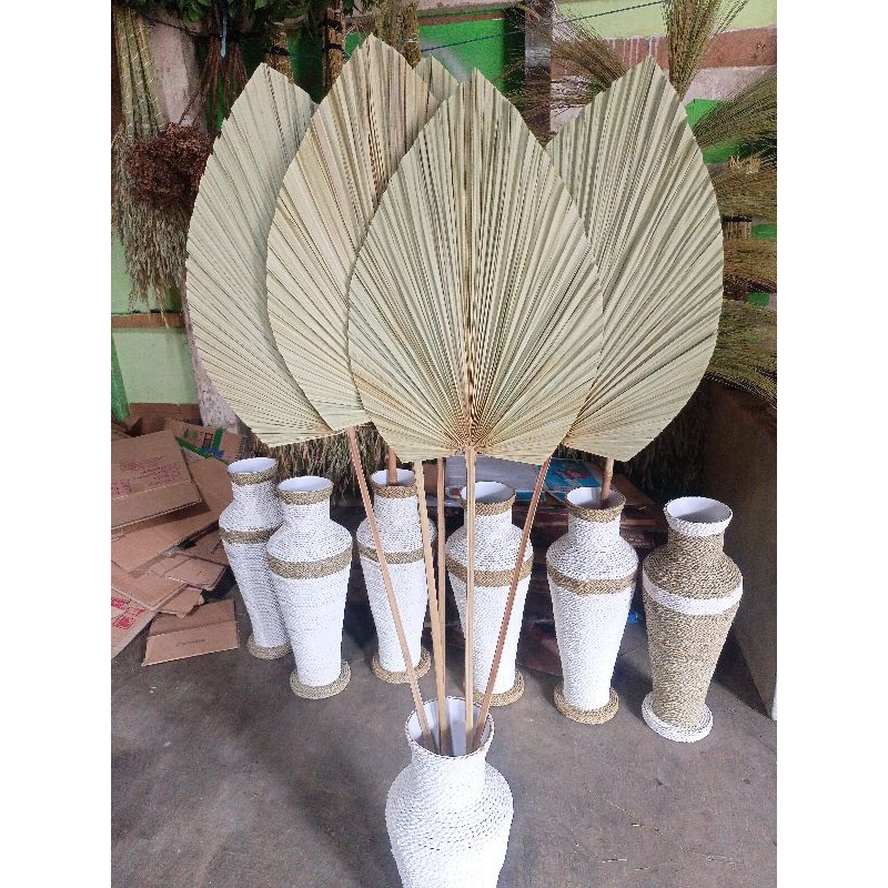 DAUN PALEM KERING HIJAU