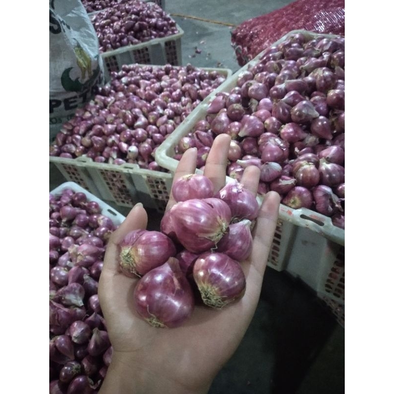 

bawang merah bawang putih