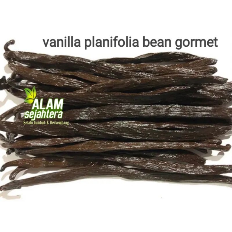 

VANILLI PLANIFOLIA GOURMET GRADE A