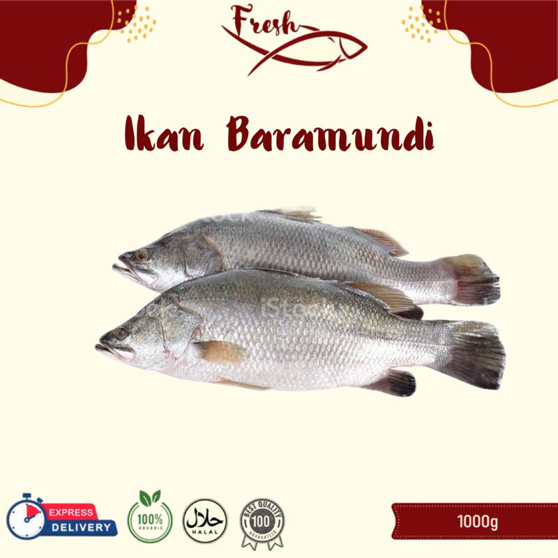 

IKAN BARAMUNDI/IKAN CUKIL FRESH 1kg