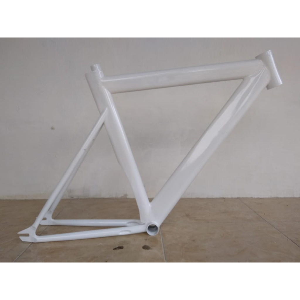 frame fixie model visp custome