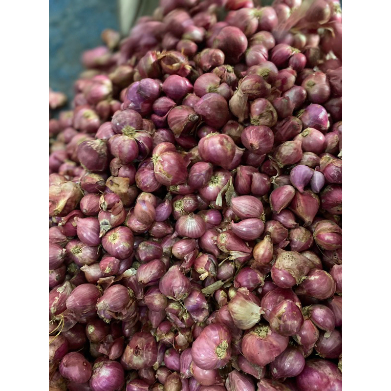 

bawang merah super promo