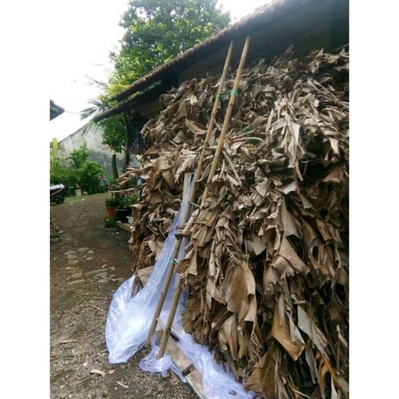 Daun pisang kering/klaras 100gr  media jangkrik / ikan cupang termurah