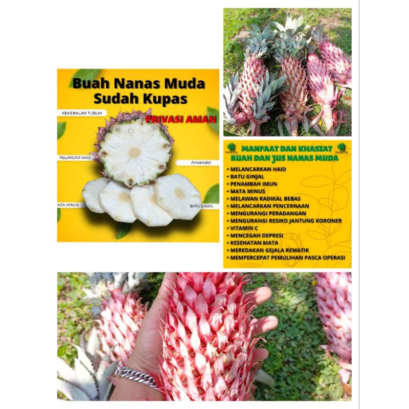 Buah nanas merah nanas muda sudah kupas 250gram fresh
