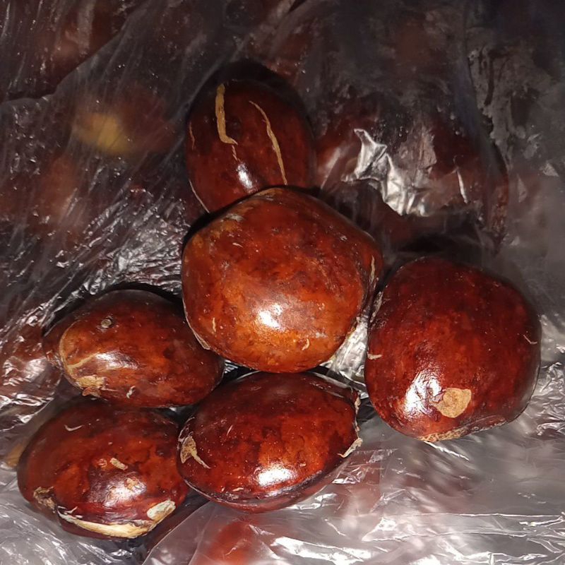 

jengkol super