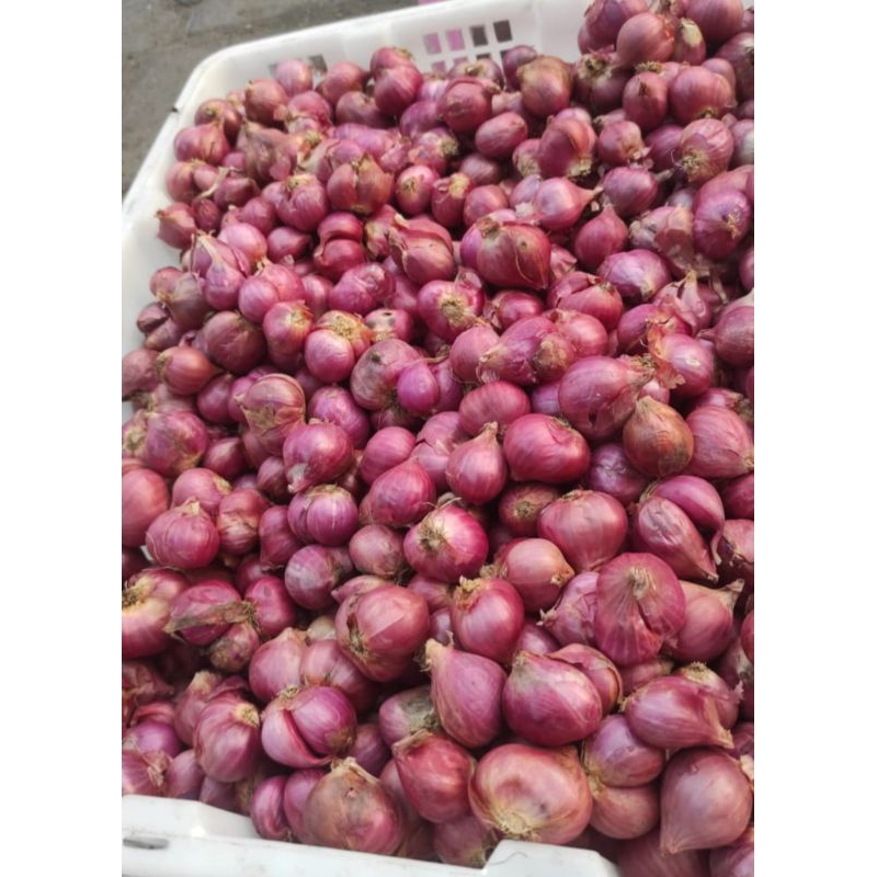 

BAWANG MERAH SUPER 500GR