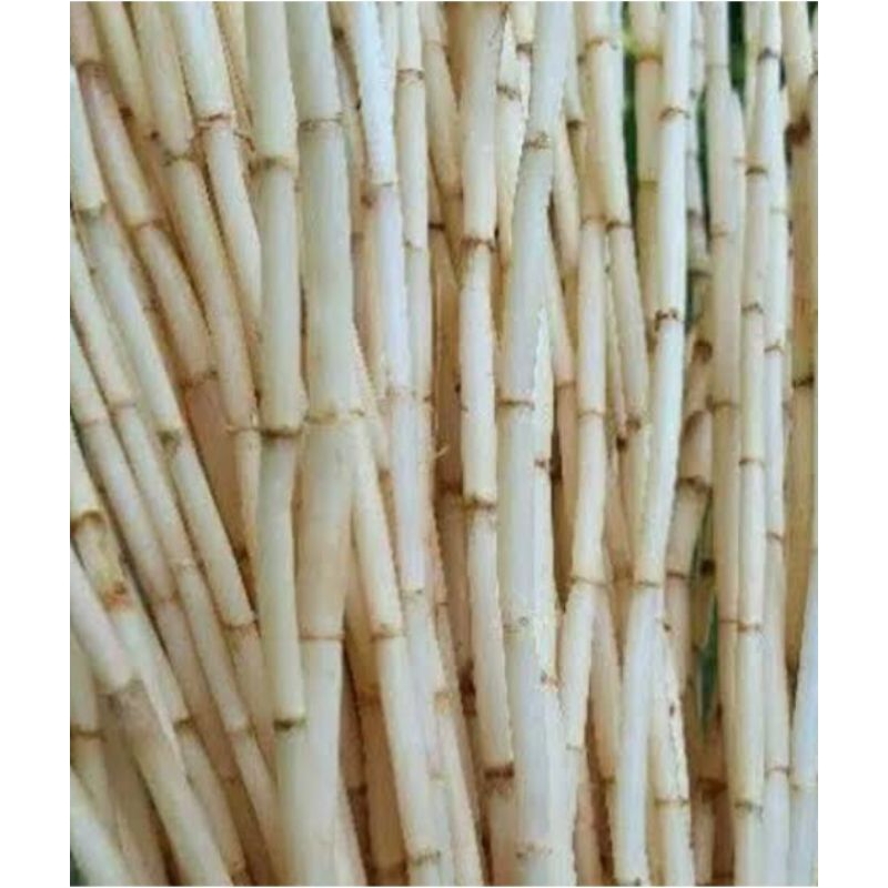 

akar alang" fresh 250 gram