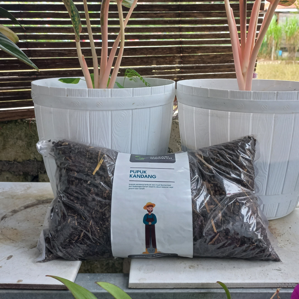 Pupuk kandang sapi murni 500 gram