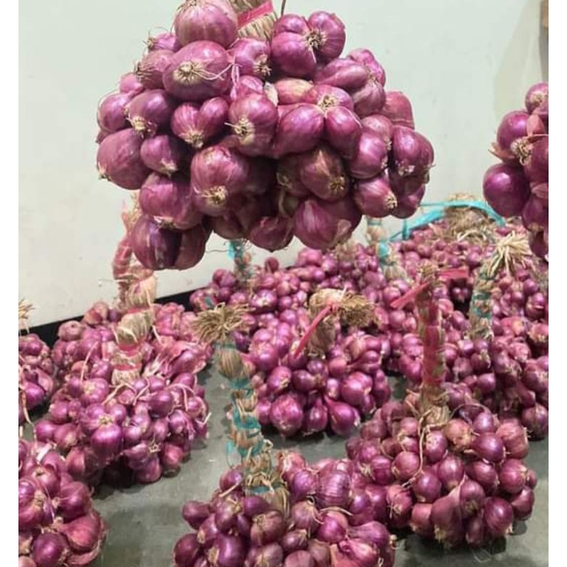 

bawang merah jatim