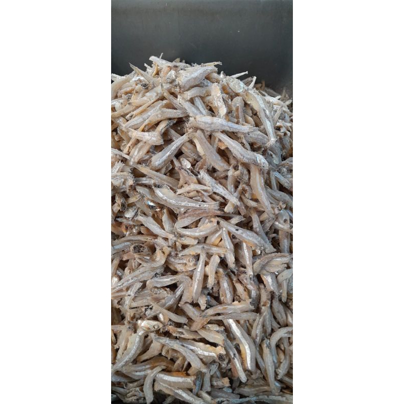 

Teri jengki bulat 500grm