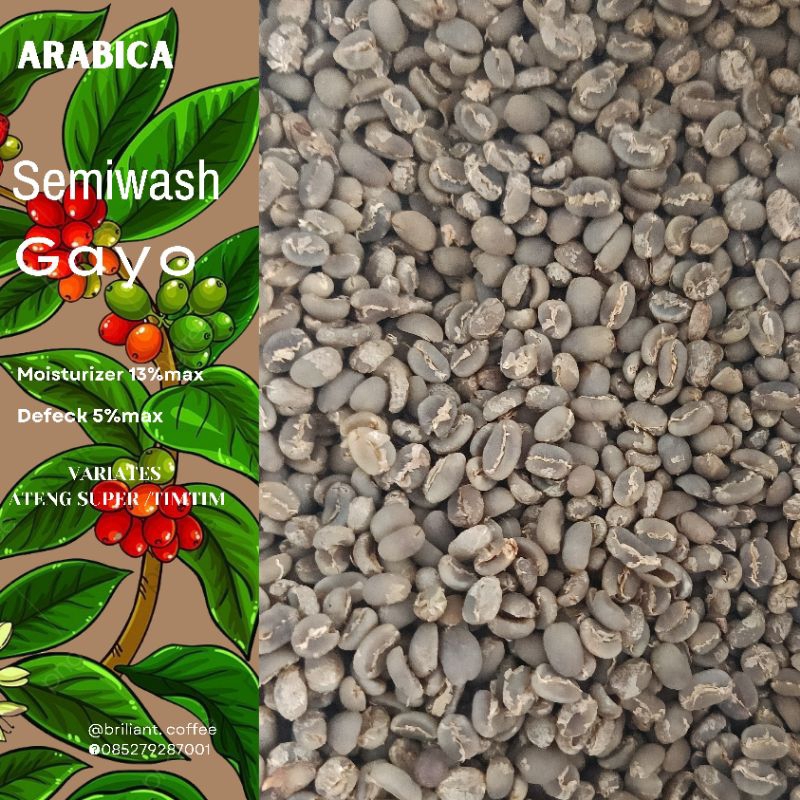 

Arabica gayo semiwash grade1