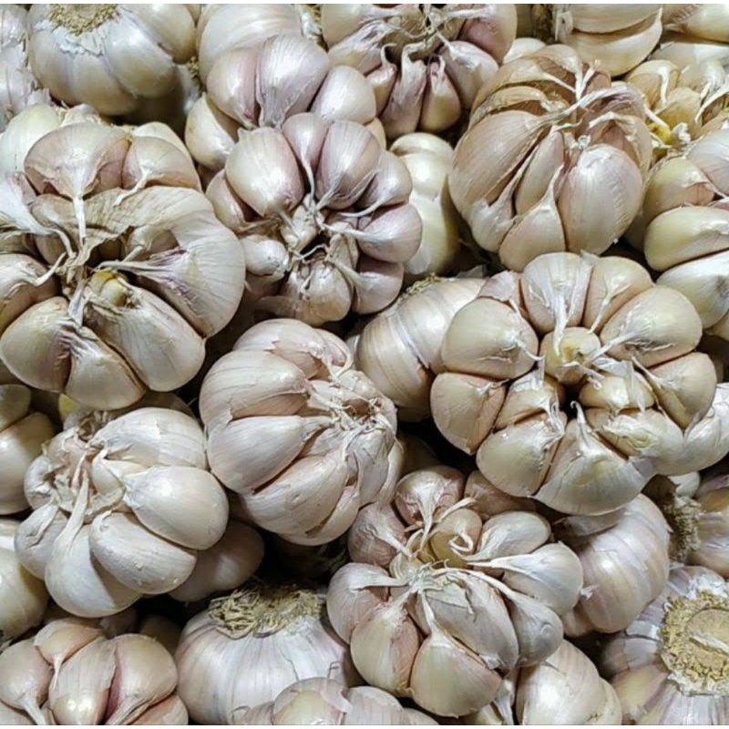 

1 KG BAWANG PUTIH BERSIH