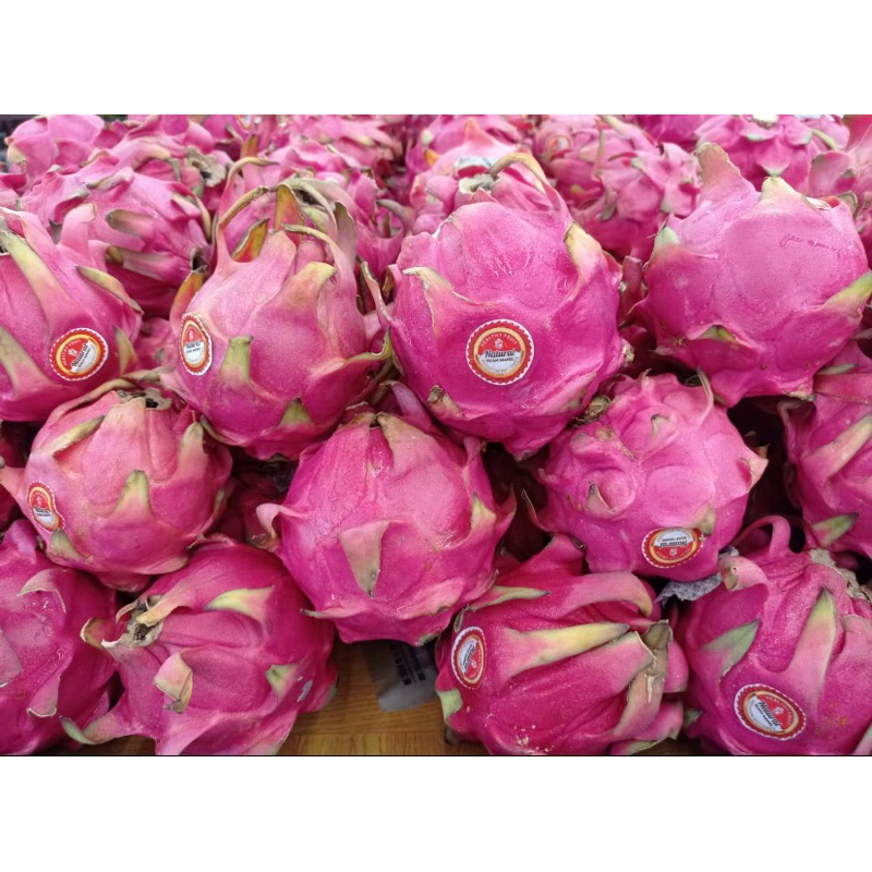 

buah naga merah 1kg