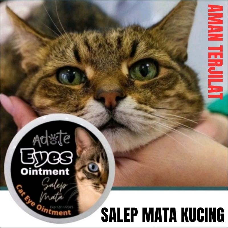 Salep Mata Kucing Bengkak Selaput Putih NDARUFRAM
