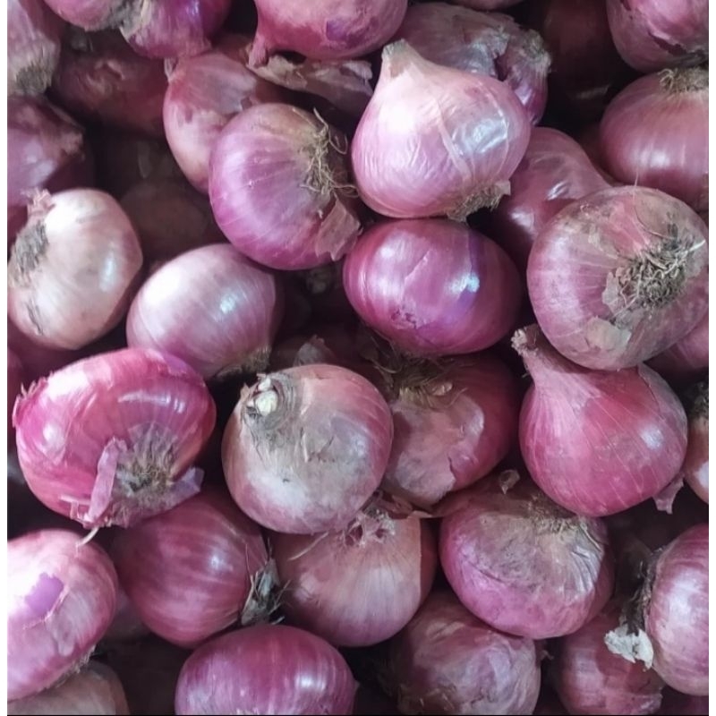 

Bawaang merah india 500 gr - Bawang merah india Peking imfort super fresh