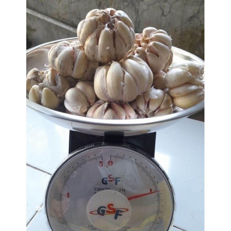 

BAWANG PUTIH HONAN 1 KG - BAWANG PUTIH BIASA MURAH BERKUALITAS