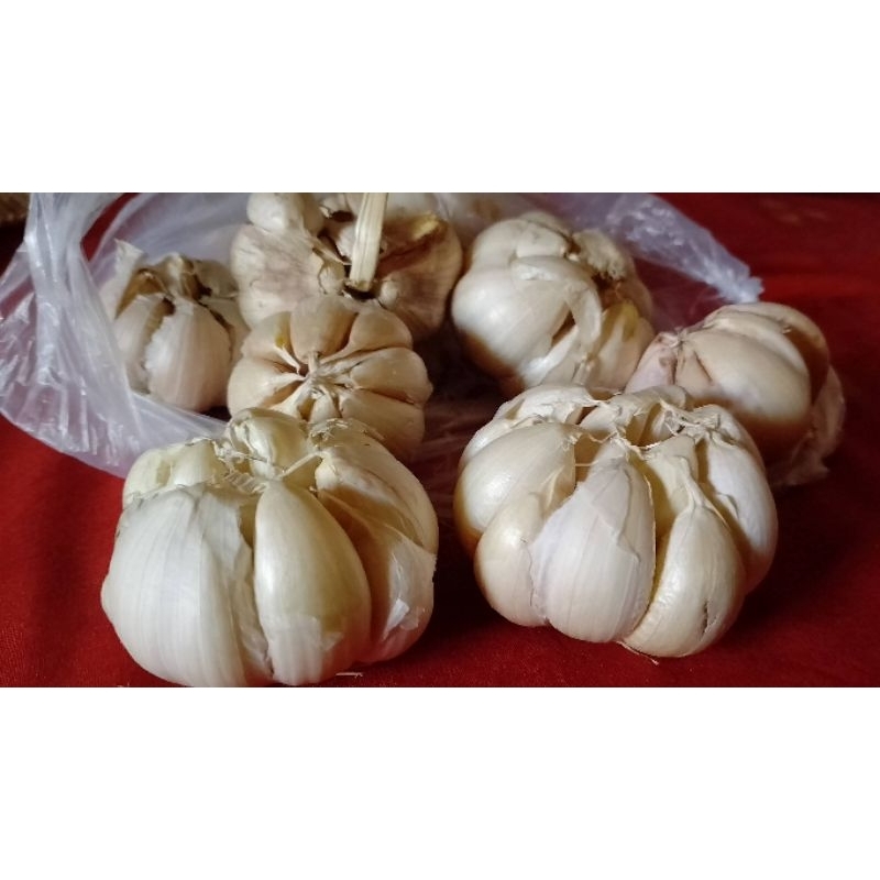 

BAWANG PUTIH 500 GR