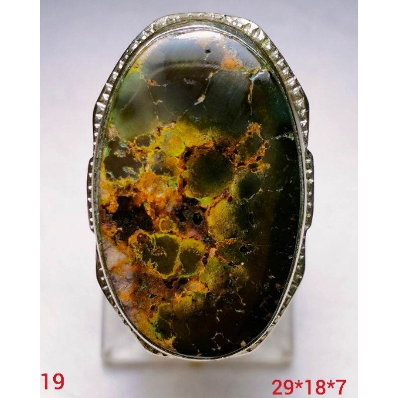 Pirus Persia Hijau Army Jumbo A640