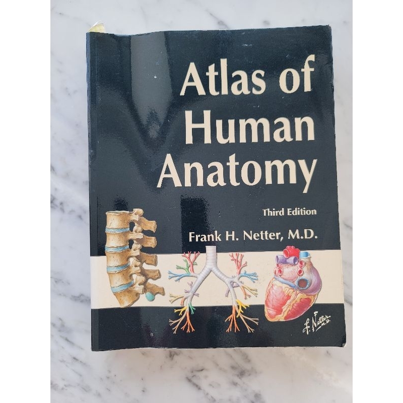 Netter Netter's Atlas of Human Anatomy Anatomi Buku Kedokteran Dokter
