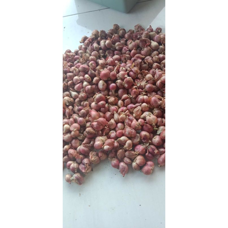 

1KG BAWANG MERAH SUPER SUKOMORO NGANJUK