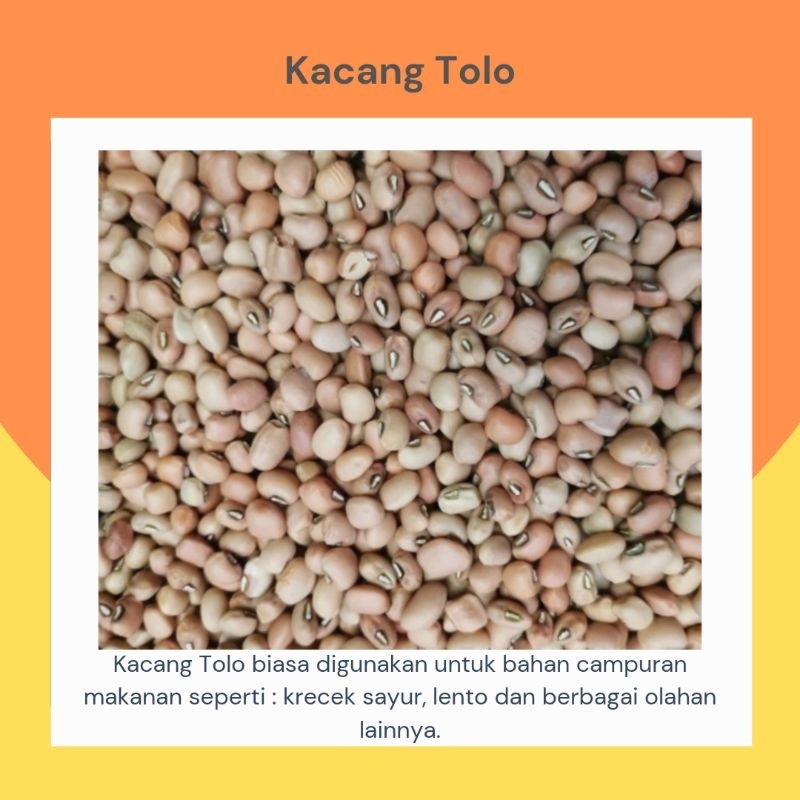

Kacang Tolo