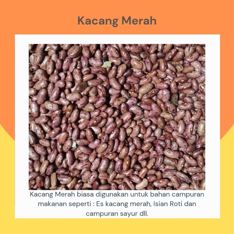 

Kacang Merah