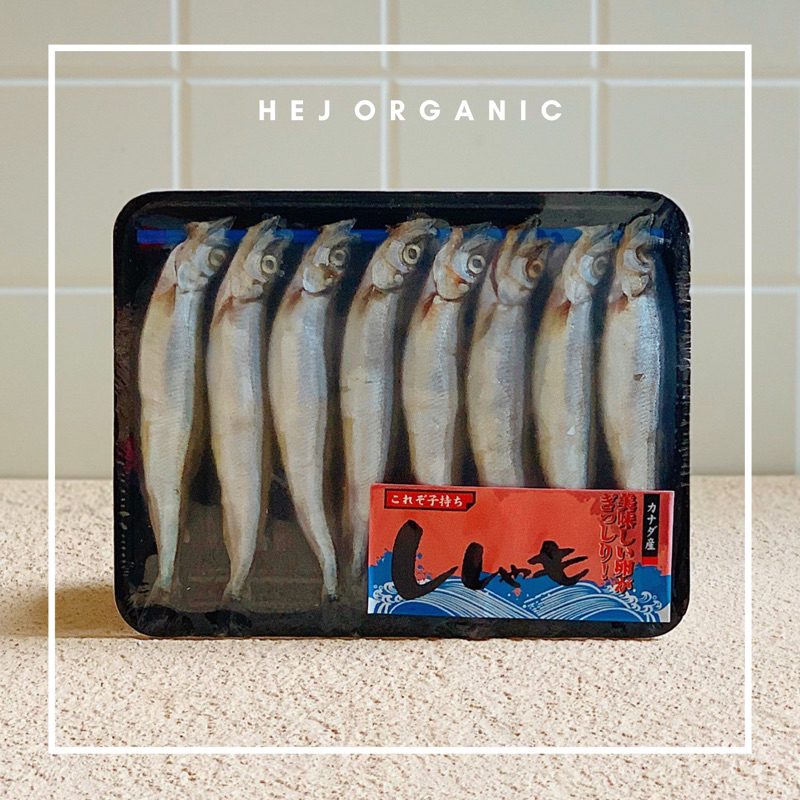 

Ikan Shisamo Atau Ikan Capelin Ikan Full Telur Premium