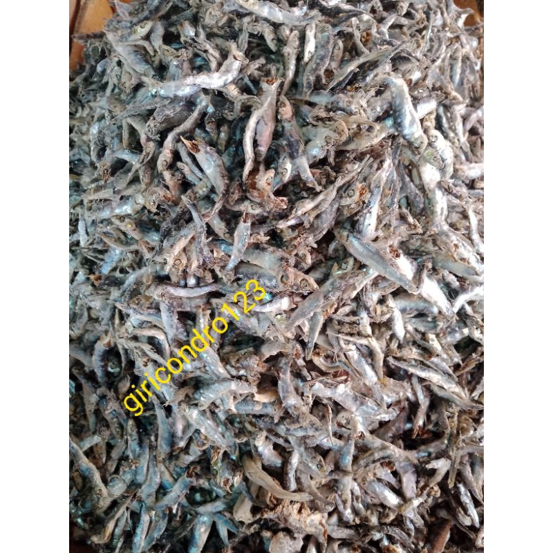 

TERI CONDONG//#1KG#SUPER