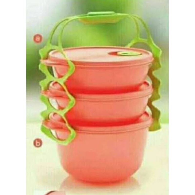 Carry all bowl Tupperware,