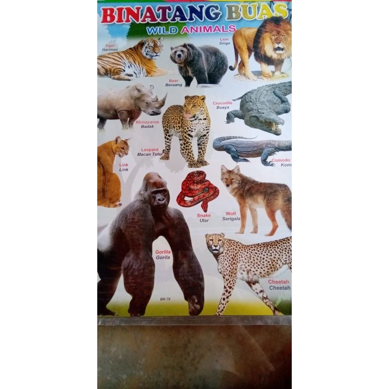 

Poster Binatang Buas