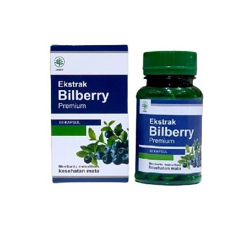 Ekstrak Bilberry 60 kapsul vitamin a vitamin mata