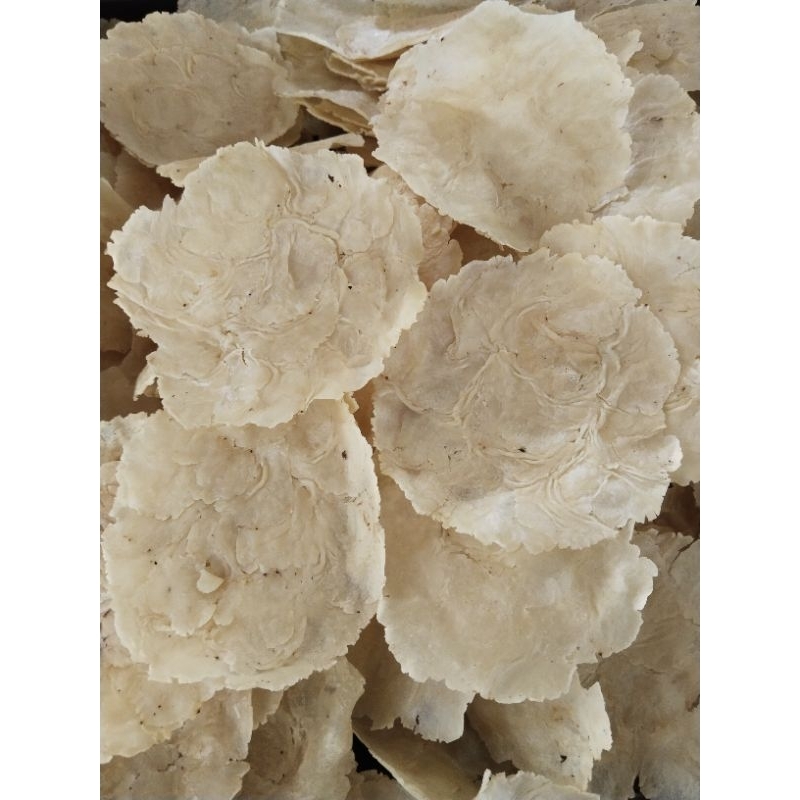 

EMPING MELINJO PIPIH MENTAH