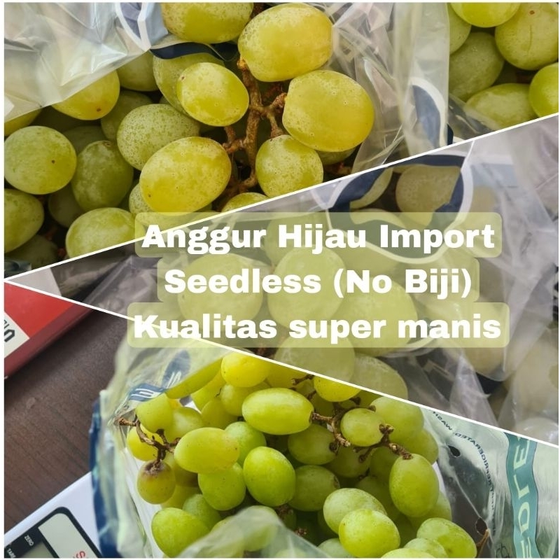 

Anggur Hijau Import Seedless (no biji)